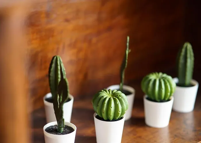 Avec Vue Hypercentre